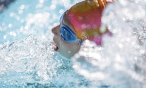 ۷روز صعود از کف قیمت